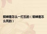 貂蝉是怎么一打五的（貂蝉是怎么死的）
