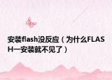 安装flash没反应（为什么FLASH一安装就不见了）