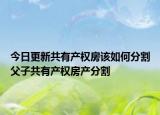 今日更新共有产权房该如何分割父子共有产权房产分割