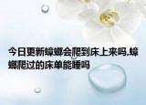 今日更新蟑螂会爬到床上来吗,蟑螂爬过的床单能睡吗