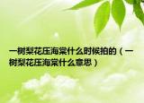 一树梨花压海棠什么时候拍的（一树梨花压海棠什么意思）