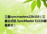 三星syncmasters22b310（三星台式机 SyncMaster E2220屏幕多大）