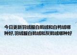 今日更新羽绒服白鹅绒和白鸭绒哪种好,羽绒服白鹅绒和灰鹅绒哪种好