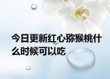 今日更新红心猕猴桃什么时候可以吃
