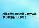 感性是什么意思理性又是什么意思（感性是什么意思）