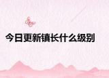 今日更新镇长什么级别
