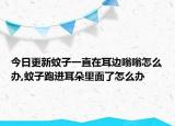 今日更新蚊子一直在耳边嗡嗡怎么办,蚊子跑进耳朵里面了怎么办