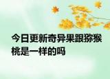 今日更新奇异果跟猕猴桃是一样的吗