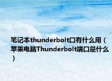 笔记本thunderbolt口有什么用（苹果电脑Thunderbolt端口是什么）