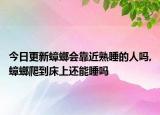 今日更新蟑螂会靠近熟睡的人吗,蟑螂爬到床上还能睡吗
