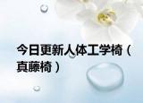 今日更新人体工学椅（真藤椅）