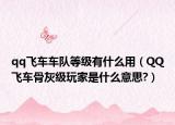 qq飞车车队等级有什么用（QQ飞车骨灰级玩家是什么意思?）