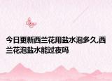 今日更新西兰花用盐水泡多久,西兰花泡盐水能过夜吗