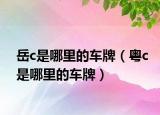 岳c是哪里的车牌（粤c是哪里的车牌）