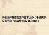 手机没开静音但没声音怎么办（手机突然没有声音了怎么处理?没有开静音）