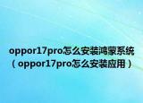 oppor17pro怎么安装鸿蒙系统（oppor17pro怎么安装应用）