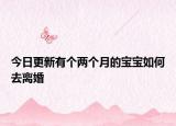 今日更新有个两个月的宝宝如何去离婚