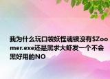 我为什么玩口袋妖怪魂银没有$Zoomer.exe还是黑求大虾发一个不会黑好用的NO