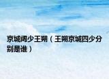 京城阔少王朔（王朔京城四少分别是谁）