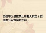 微信怎么设置禁止所有人发言（微信怎么设置禁止评论）