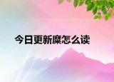今日更新糜怎么读