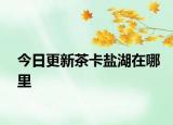 今日更新茶卡盐湖在哪里