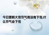 今日更新大雪节气有没有下雪,什么节气会下雪