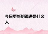今日更新胡锡进是什么人