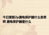 今日更新2p漏电保护器什么意思啊 漏电保护器是什么