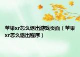 苹果xr怎么退出游戏页面（苹果xr怎么退出程序）
