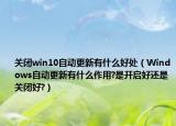 关闭win10自动更新有什么好处（Windows自动更新有什么作用?是开启好还是关闭好?）