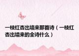 一枝红杏出墙来那首诗（一枝红杏出墙来的全诗什么）