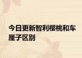 今日更新智利樱桃和车厘子区别