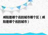 咸阳是哪个省的城市哪个区（咸阳是哪个省的城市）
