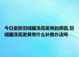 今日更新羽绒服洗完发黄的原因,羽绒服洗完发黄有什么补救办法吗