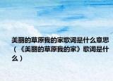 美丽的草原我的家歌词是什么意思（《美丽的草原我的家》歌词是什么）