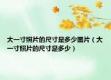 大一寸照片的尺寸是多少图片（大一寸照片的尺寸是多少）