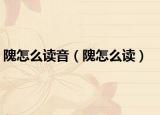 隗怎么读音（隗怎么读）