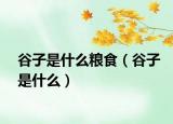 谷子是什么粮食（谷子是什么）