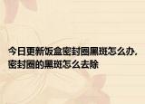 今日更新饭盒密封圈黑斑怎么办,密封圈的黑斑怎么去除