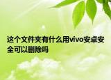 这个文件夹有什么用vivo安卓安全可以删除吗