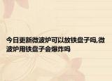 今日更新微波炉可以放铁盘子吗,微波炉用铁盘子会爆炸吗