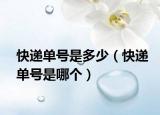 快递单号是多少（快递单号是哪个）