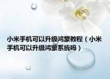 小米手机可以升级鸿蒙教程（小米手机可以升级鸿蒙系统吗）
