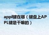 appl键在哪（键盘上APPL键是干嘛的）