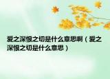 爱之深恨之切是什么意思啊（爱之深恨之切是什么意思）