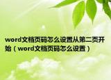 word文档页码怎么设置从第二页开始（word文档页码怎么设置）