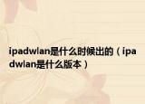 ipadwlan是什么时候出的（ipadwlan是什么版本）