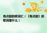 有点甜的歌词汇（《有点甜》的歌词是什么）