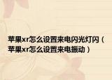 苹果xr怎么设置来电闪光灯闪（苹果xr怎么设置来电振动）